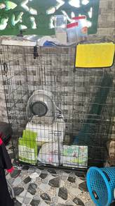 Set Combo Sangkar Kucing