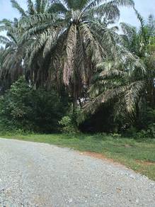 Agricultural Land in Bandar Baharu, KDH