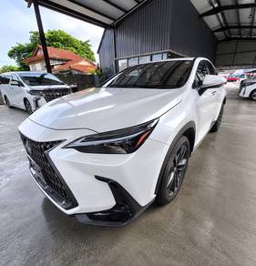 Lexus NX 250 LUXURY in Sungai Petani, KDH