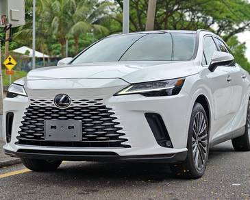 2023 Lexus RX 350 LUXURY