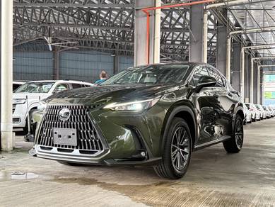 Lexus NX 250 BASE GRADE in Bandar Kinrara, SGR