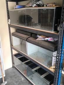 jualan lumpsum akuarium 2x1