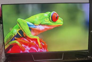 Google tv✅
QLED+✅ 
4k uhd✅ 
Skyworth✅ 
55inch✅ 
10