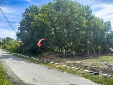 Residential Land in Marang, TRG