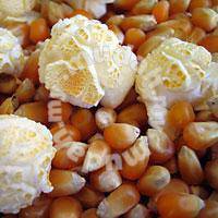 Mushroom popcorn kernel guni