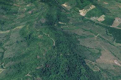 Agricultural Land in Padang Terap, KDH