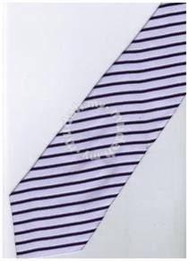 EPP07 Purple Black White Striped Formal Neck Tie