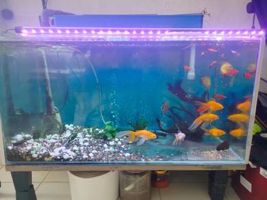 aquarium masih boleh guna