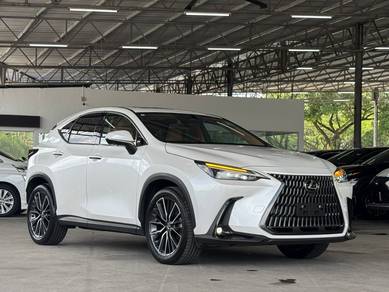 Lexus NX 250 LUXURY in Johor Bahru, JHR