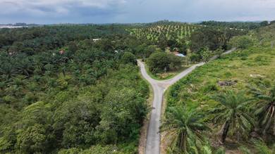 Agricultural Land in Batu Pahat, JHR