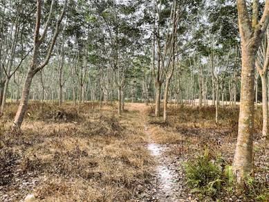 Agricultural Land in Mersing, JHR