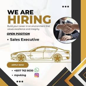Sales Executive Automotive