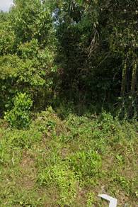 Agricultural Land in Muar, JHR