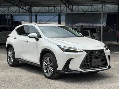 2023 Lexus NX 250 LUXURY