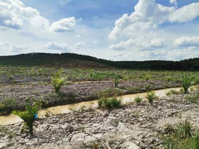 Agricultural Land in Segamat, JHR