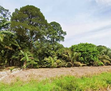 Agricultural Land in Batu Pahat, JHR