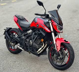 QJ Motor SRK250