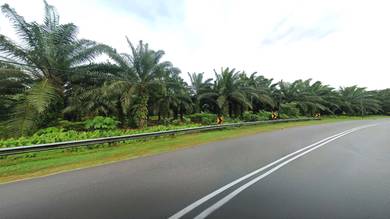 Industrial Land in Jasin, MLK