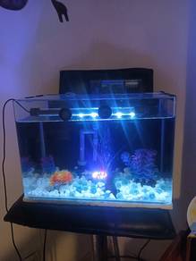Aquarium for sale