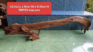 kayu aquarium cantik masuk tank aro body licin