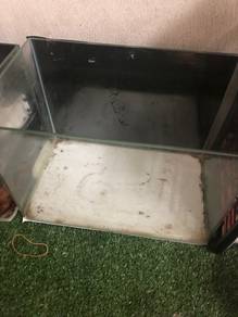 aquarium aquascap