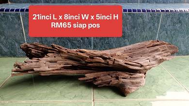 kayu solid simple untuk aquascape tank 60cm