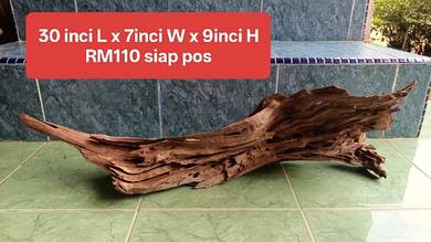 BEST SOLID aquarium driftwood panjang