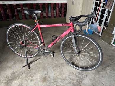 Custom Roadbike Alloy Frame + Carbon Fork