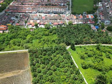 Agricultural Land in Padang Serai, KDH