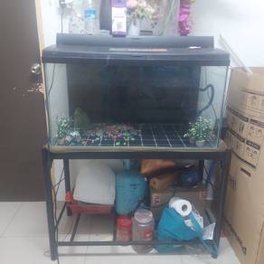 aquarium