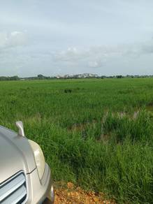 Agricultural Land in Kota Setar, KDH