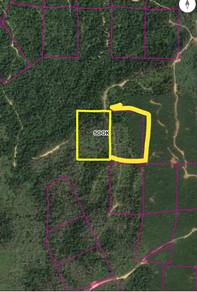 Agricultural Land in Keningau, SBH