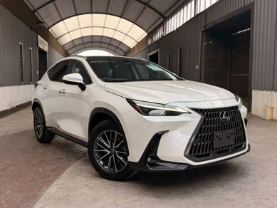 Lexus NX 250 BASE GRADE in Petaling Jaya, SGR