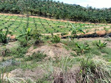 Agricultural Land in Kota, NSN