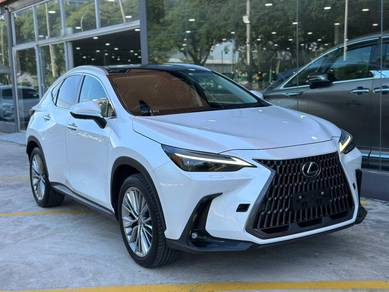 2022 Lexus NX 250 LUXURY