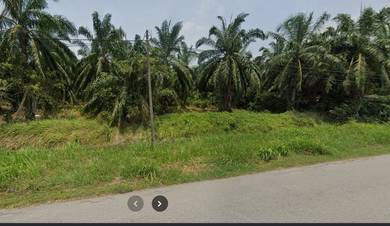 Agricultural Land in Jeram, SGR