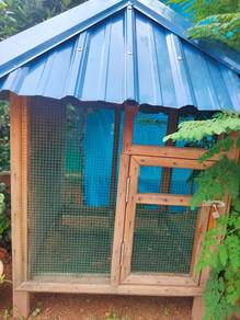Reban Burung