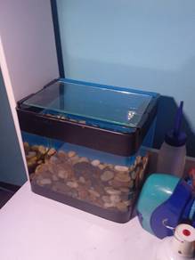 aquarium dan ikan