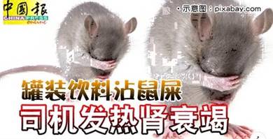 Pest Guard . E5vKh