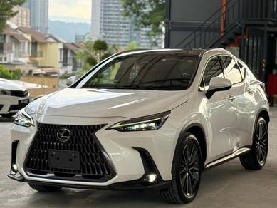 2023 Lexus NX 250 LUXURY
