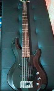 Aria Pro ii