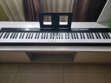 Intelligence 88 Keys Rechargeable Electronic Piano