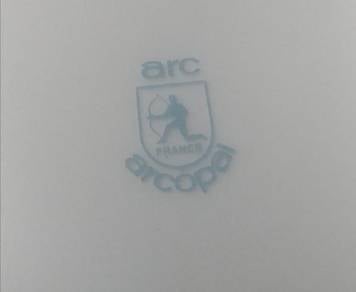 Arcopal romantique rice plate