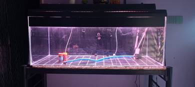Aquarium 4ft 1 set without stand