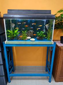 aquarium 2.5kaki