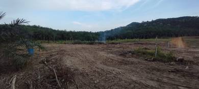 Agricultural Land in Karak, PHG
