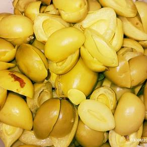 Jeruk buah thai