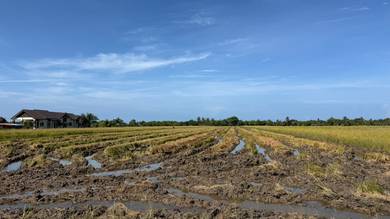 Agricultural Land in Kota Setar, KDH