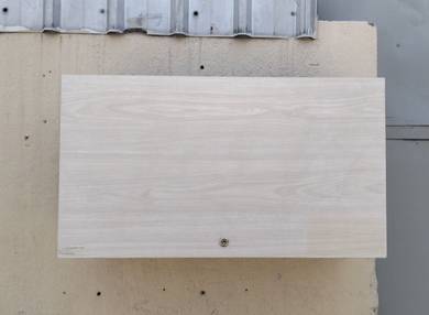 YA30AR  Almari Dinding 1 Door Wall Mounted Cabinet