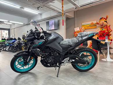 Yamaha MT250